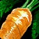 Orange Painted Turnip